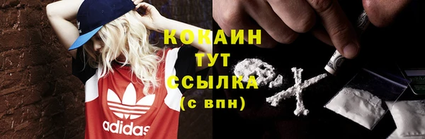 сатива Абдулино