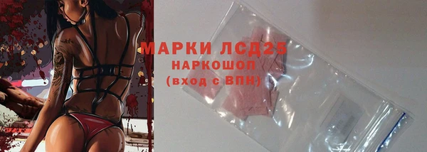 гашик Алексеевка