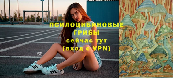 сатива Абдулино