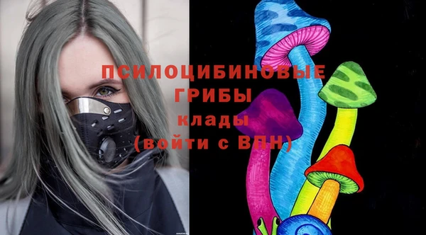 сатива Абдулино