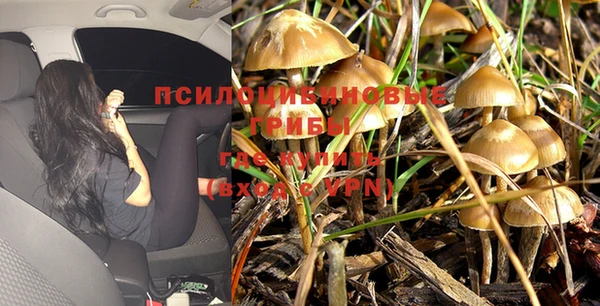 герыч Протвино