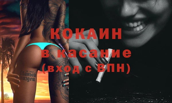 гашик Алексеевка